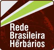 Logo Rede Brasileira de Herbários