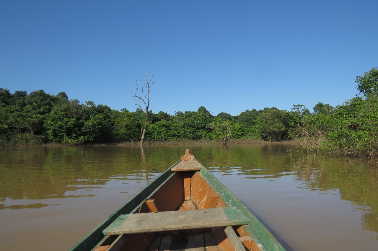 Descrição: foto mostra a frente de canoa em primeiro plano, com o rio e a floresta amazônica em segundo plano e o céu limpo e sem nuvens.