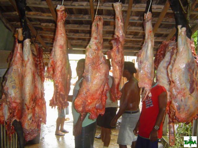 Manutenção da carne em local inadequado banco de imagens higiene de alimentos UFF