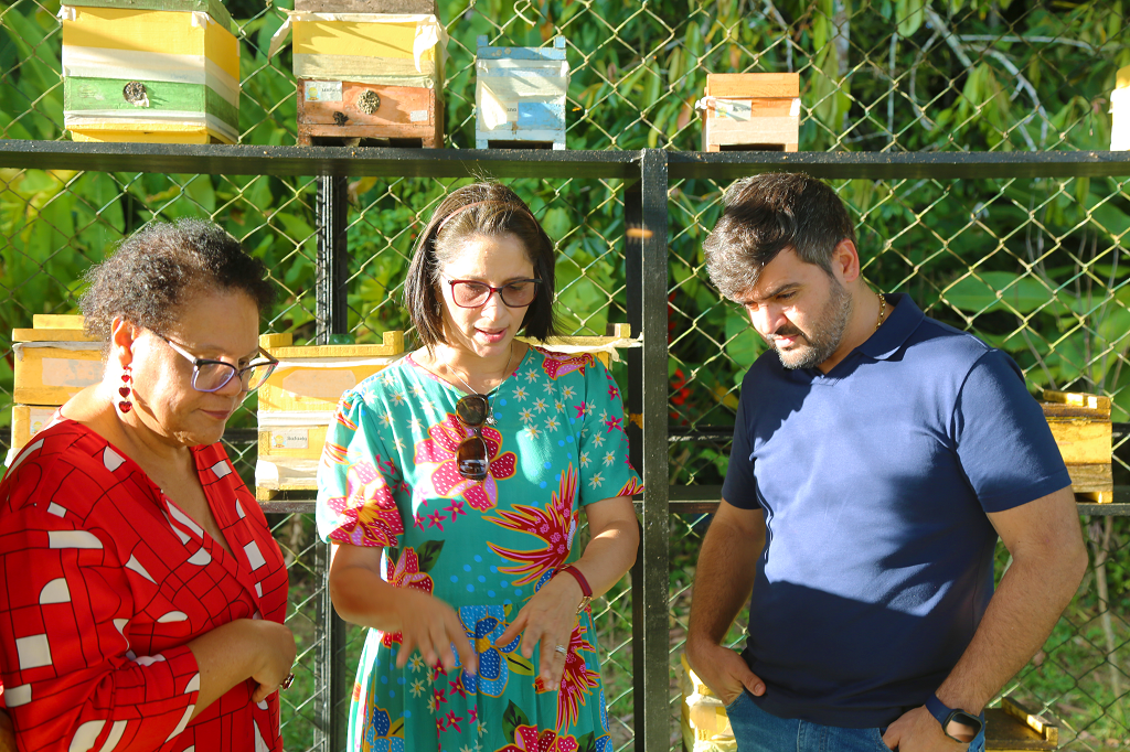 visita jardim meliponas Copia