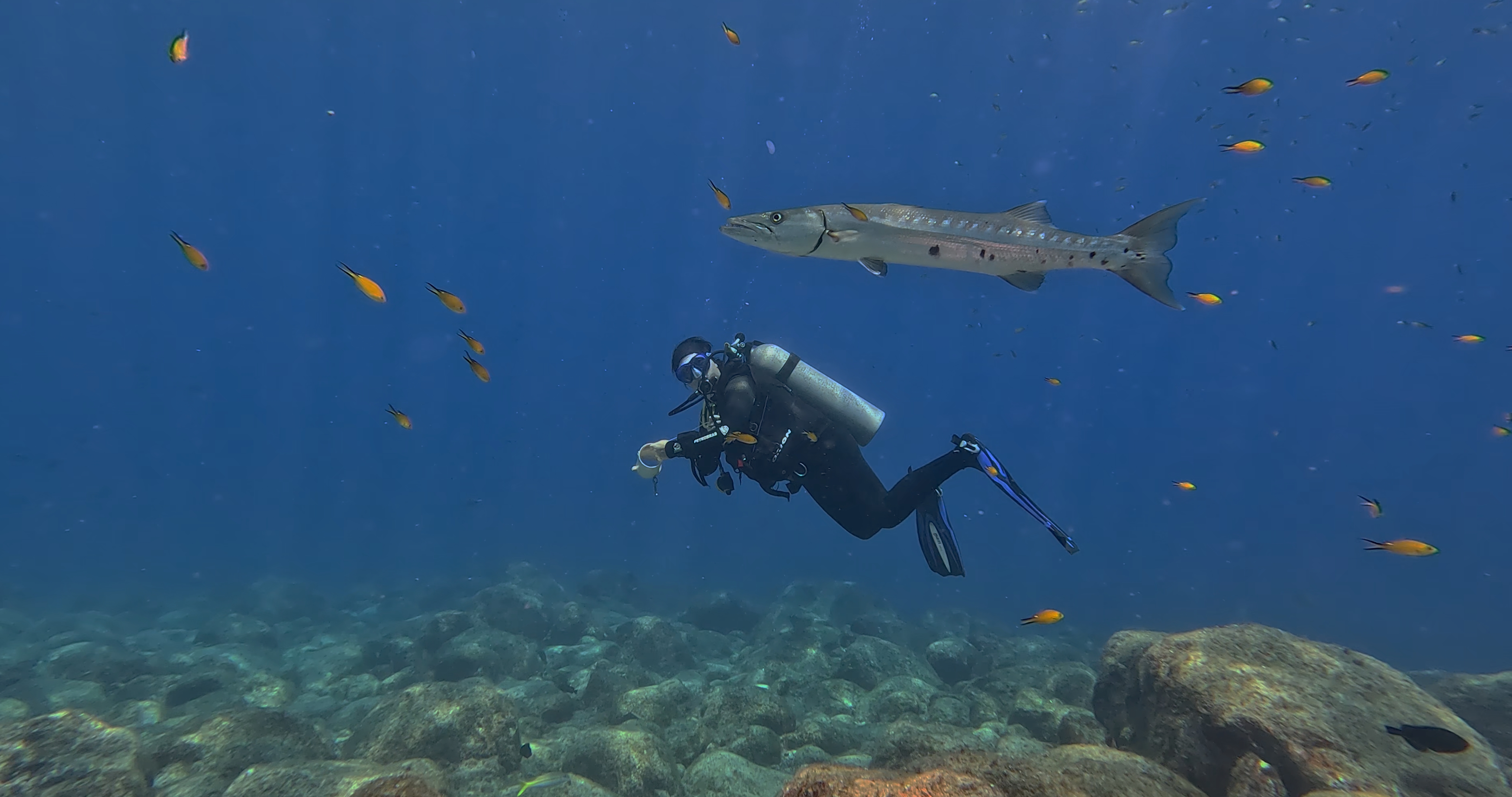 AMAR E MAE BUDIOES2024 COLOR 01 08 46 22