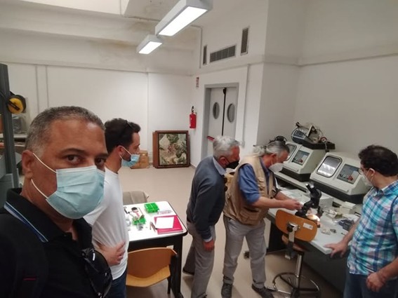 vinicius de amorim silva