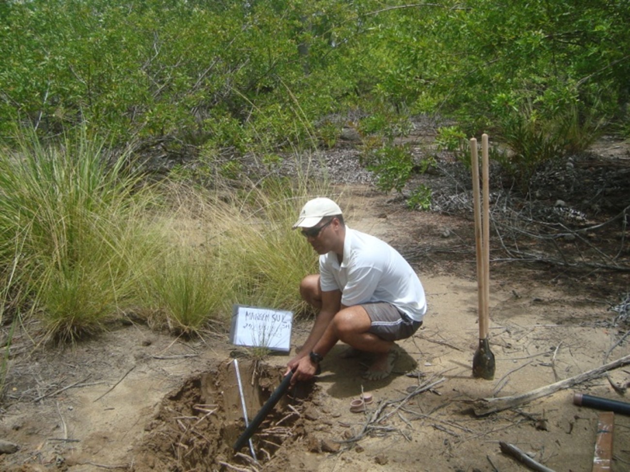 vinicius de amorim silva 2