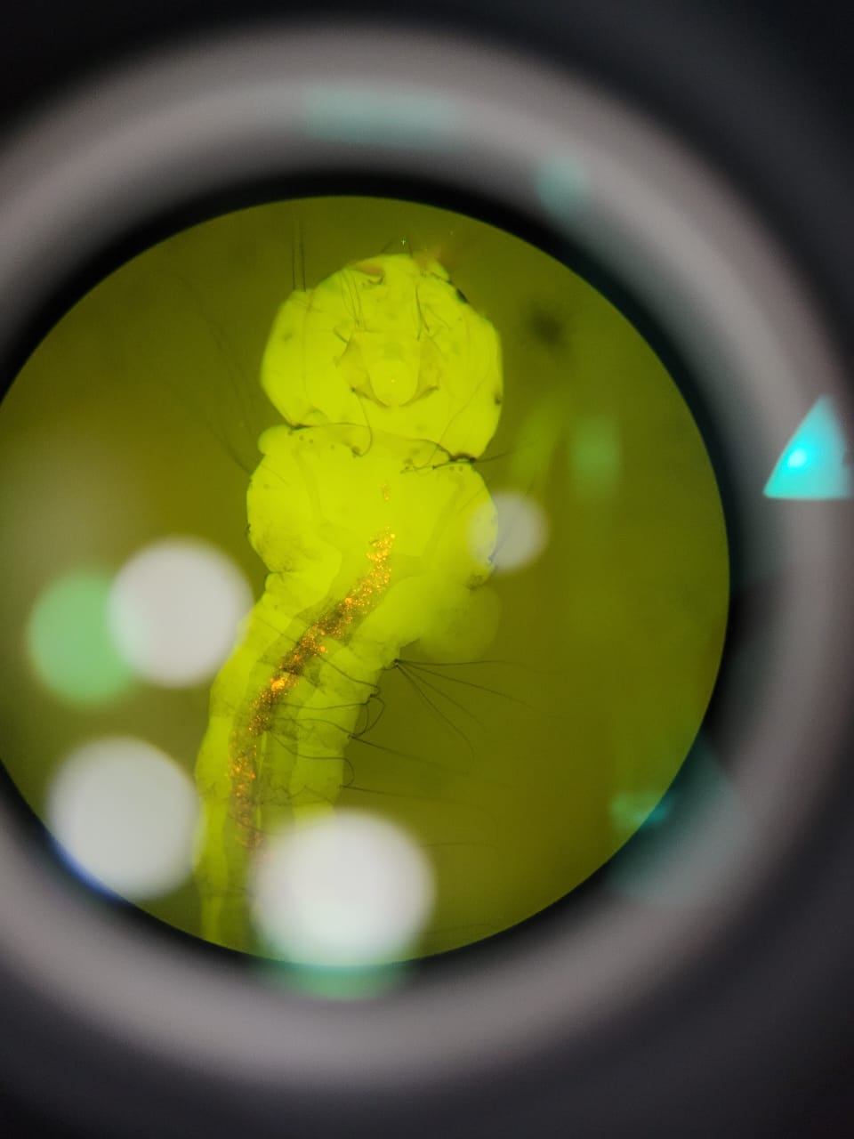 PHOTO 2023 07 17 17 04 49