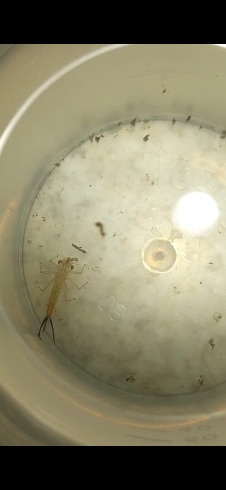 WhatsApp Image 2025 11 25 at 11.32.25