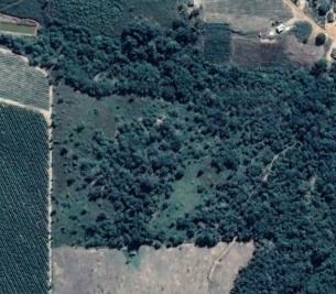 foto aérea de 2018 (foto: acervo pessoal profº. Luiz Fernando Magnago)