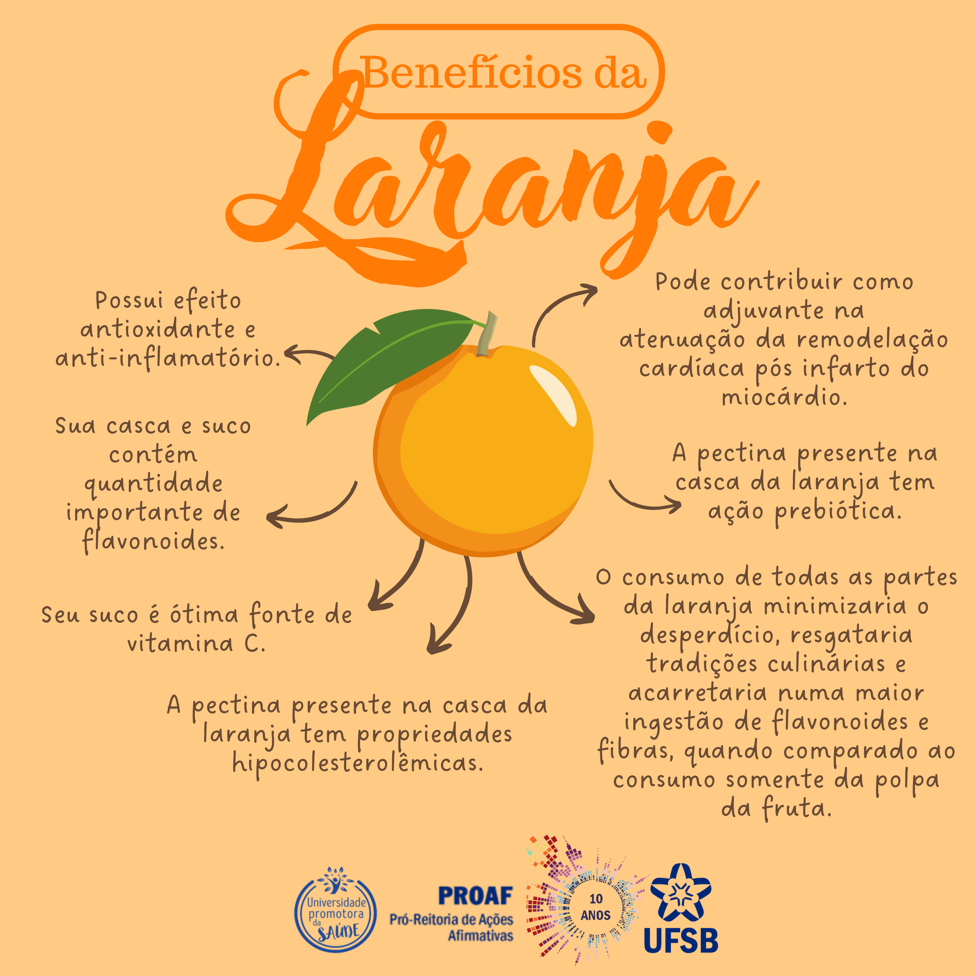 DICA DA NUTRI Laranja PROAF