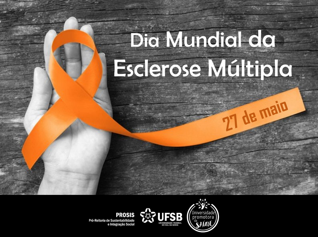 27 de maio de 2019 Esclerose